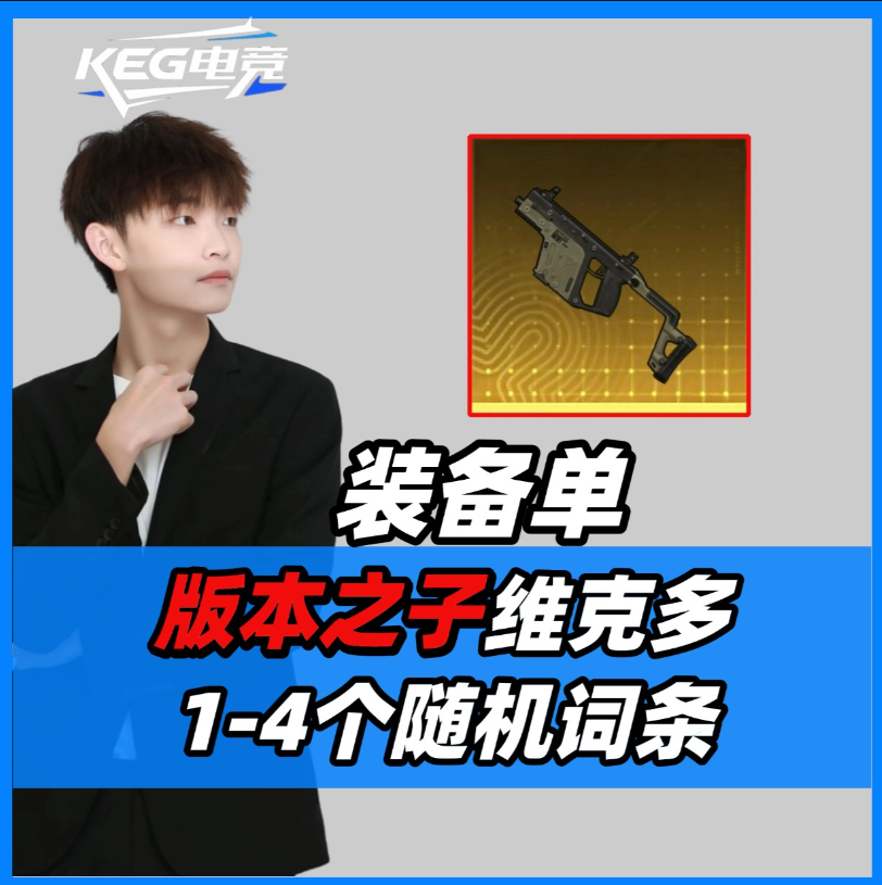 维克多/随机1-4词条